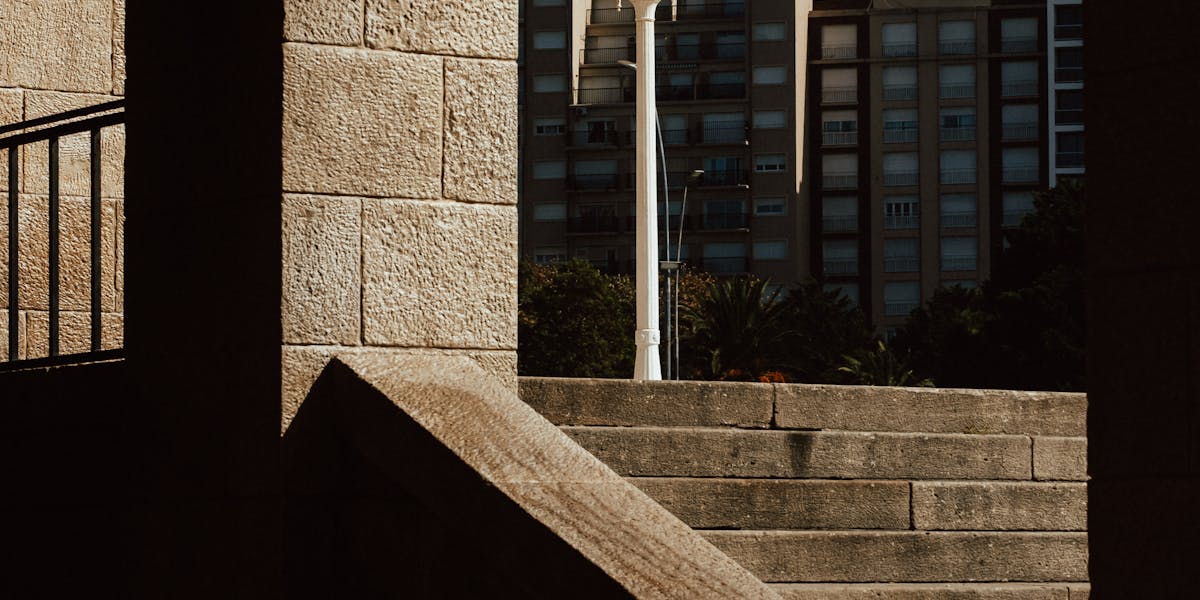 O que fazer após ganhar um leilão online